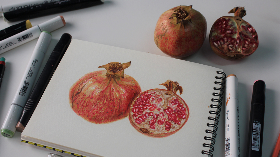 Pomegranate Drawing and Coloring with Ink Markers